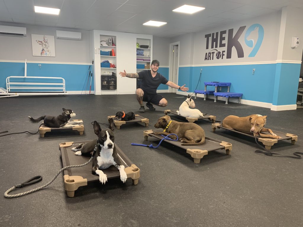 Angelo training multiple dogs on place beds at The Art of K9
